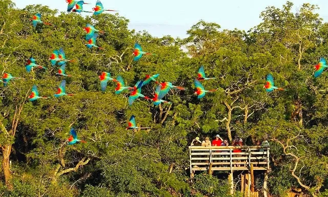 buraco das araras em bonito