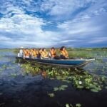 viajar para o pantanal