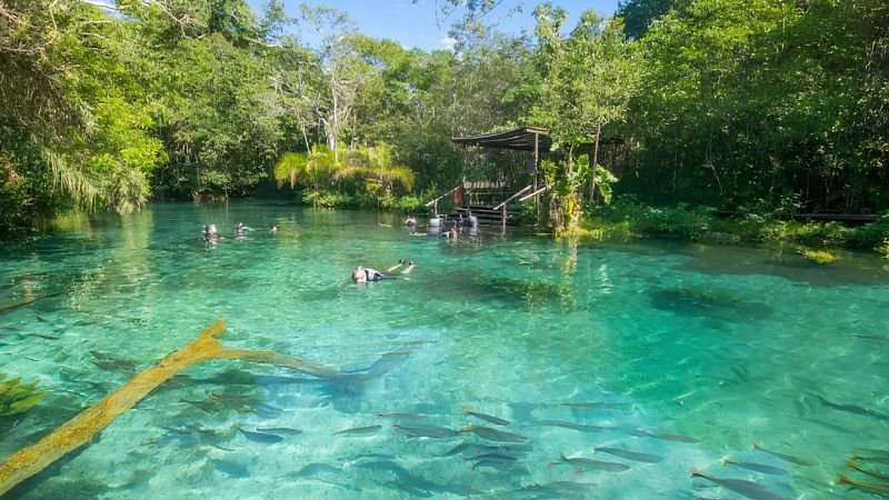 passeios em bonito