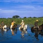 visitar o pantanal