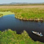 visitar o pantanal