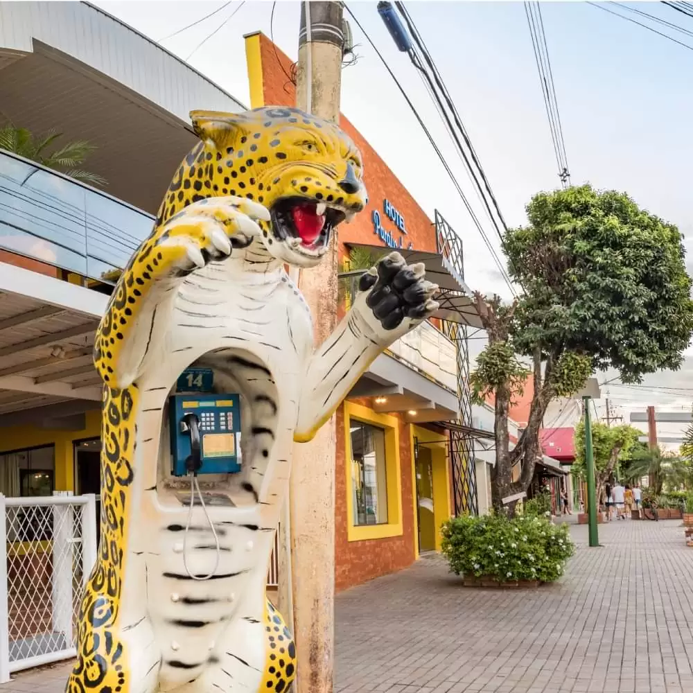 Hotel Paraíso das Águas - Foto 1