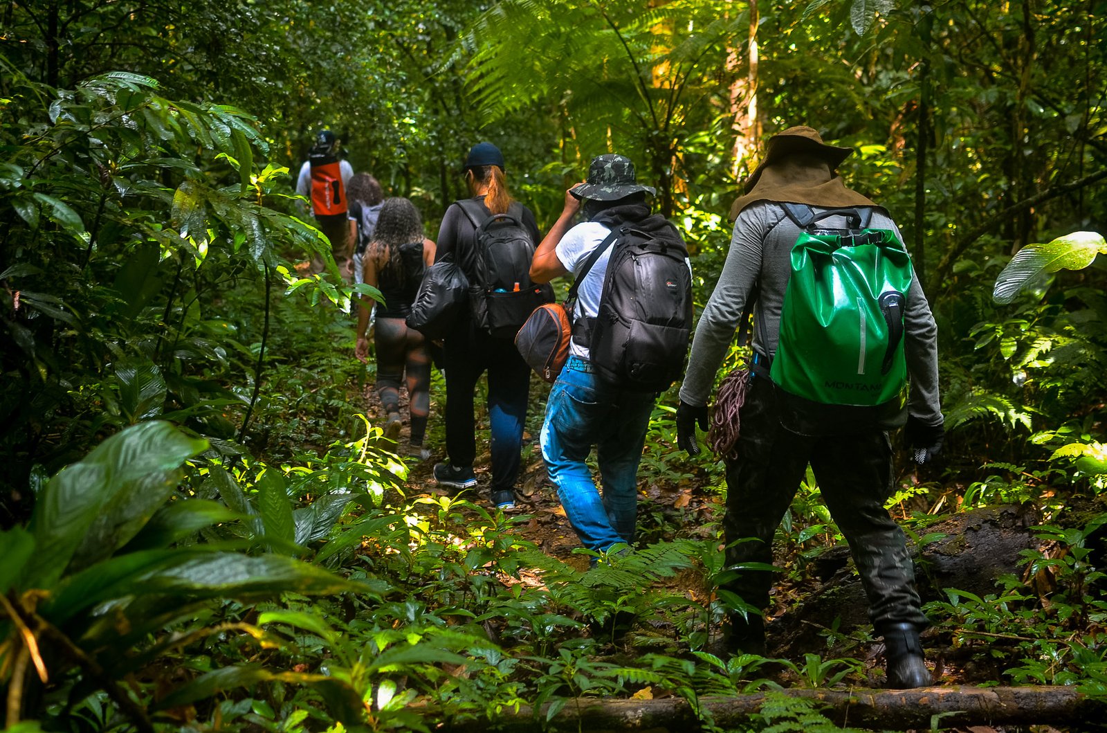 Ecoturismo: conecte-se com a natureza de forma sustentável