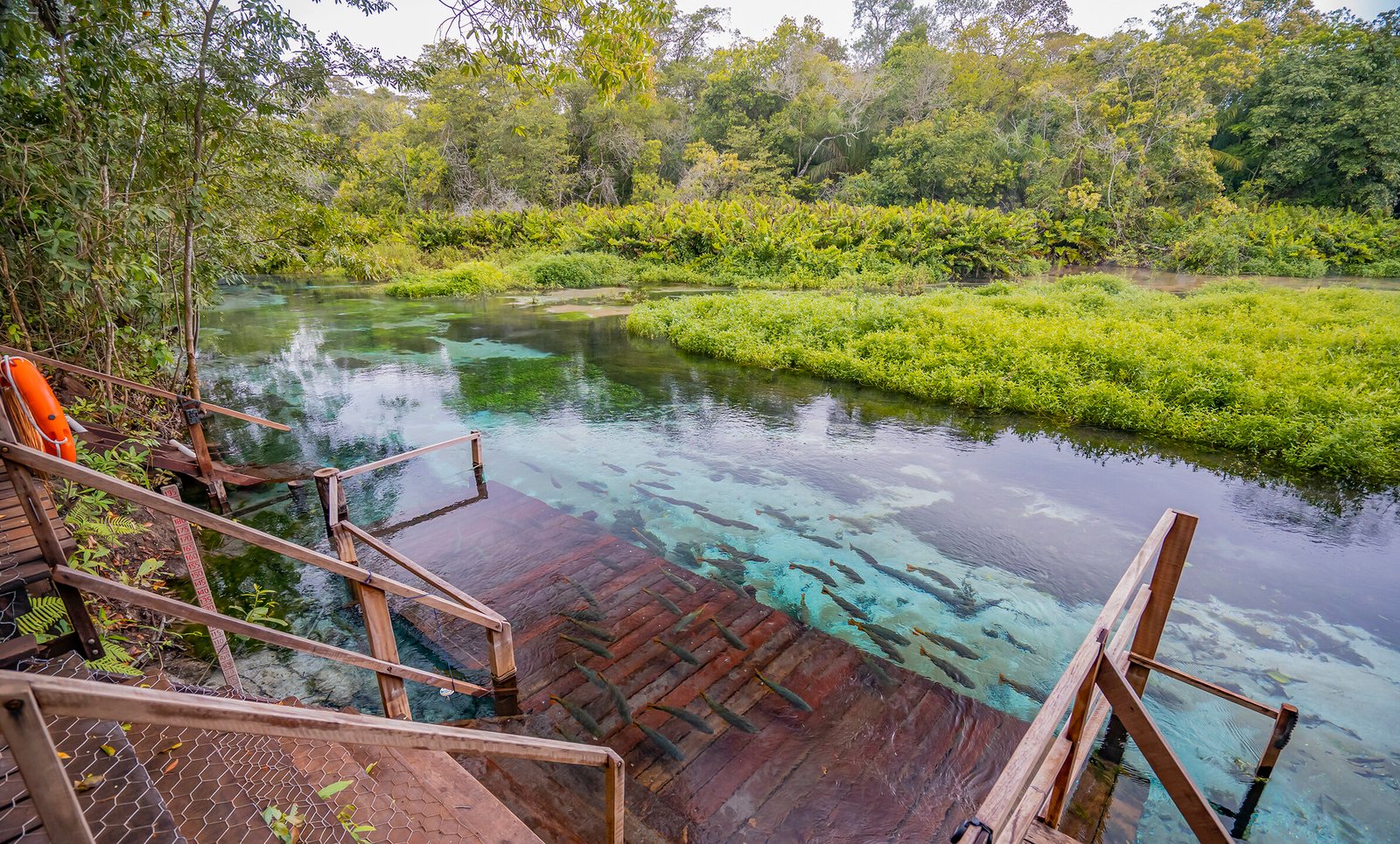 Quais são os 05 melhores passeios em Bonito/MS?