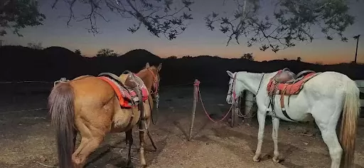 O que fazer à noite em Bonito MS?