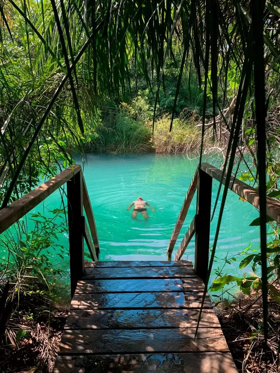 Pacotes de viagem para Bonito MS: conheça 3 opções imperdíveis