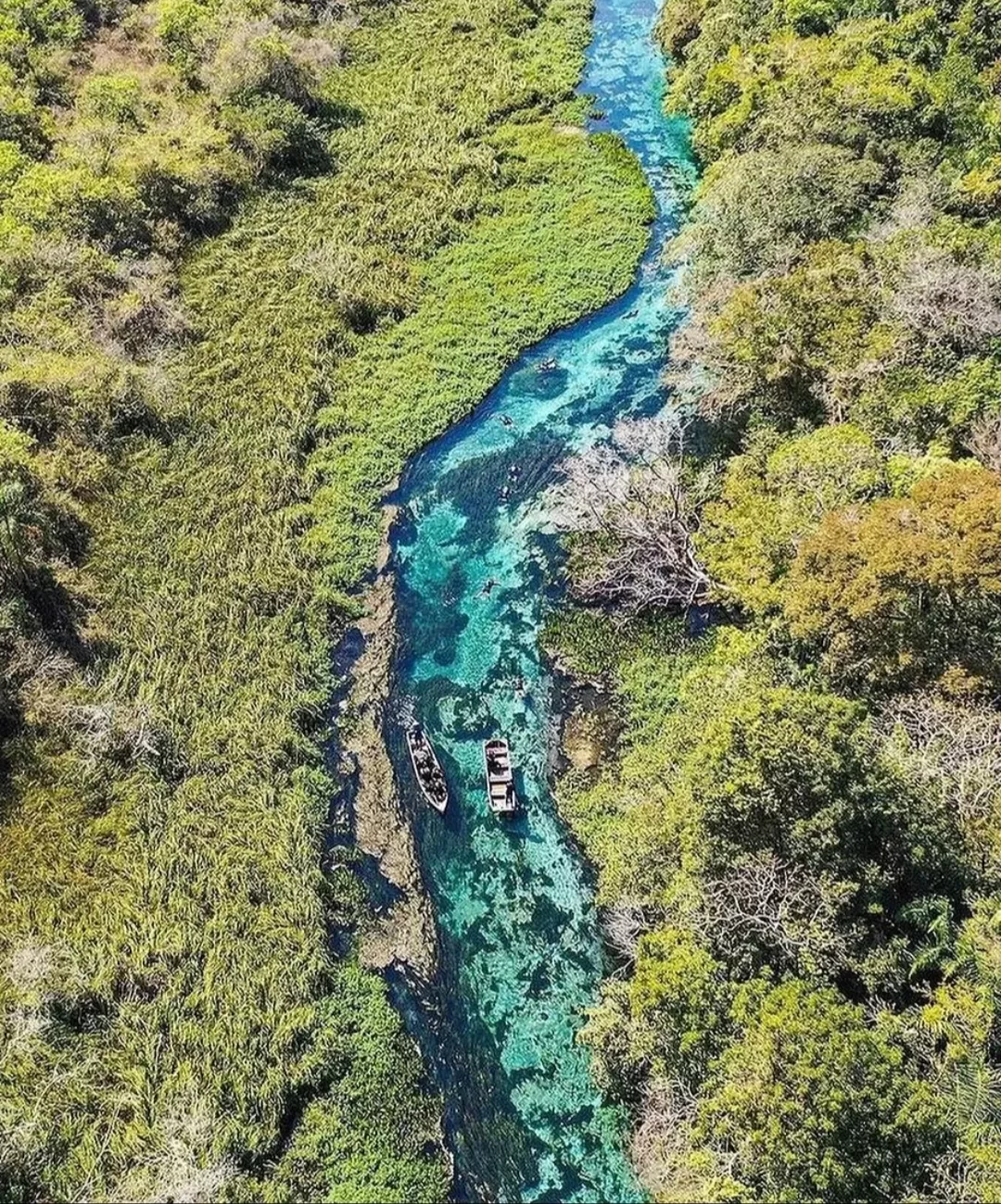 Qual o melhor rio para flutuação em Bonito MS?