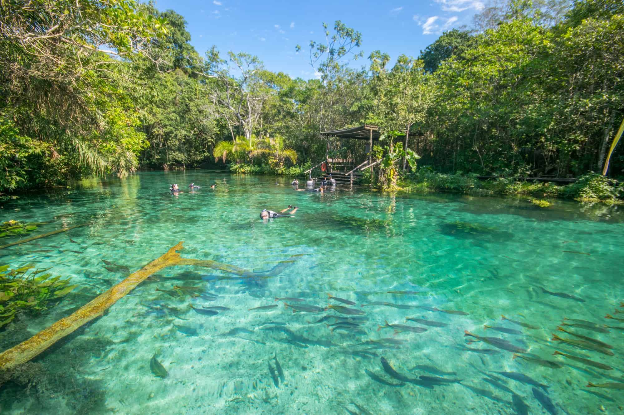 Qual é o passeio mais barato de Bonito MS? - Agencia Bonito Demais