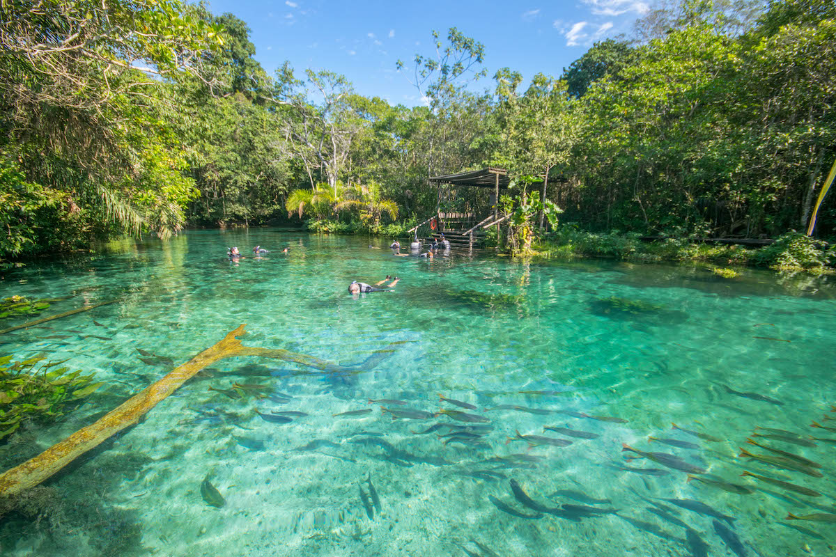 Nascente Azul: tudo sobre a melhor flutuação de Bonito (MS)