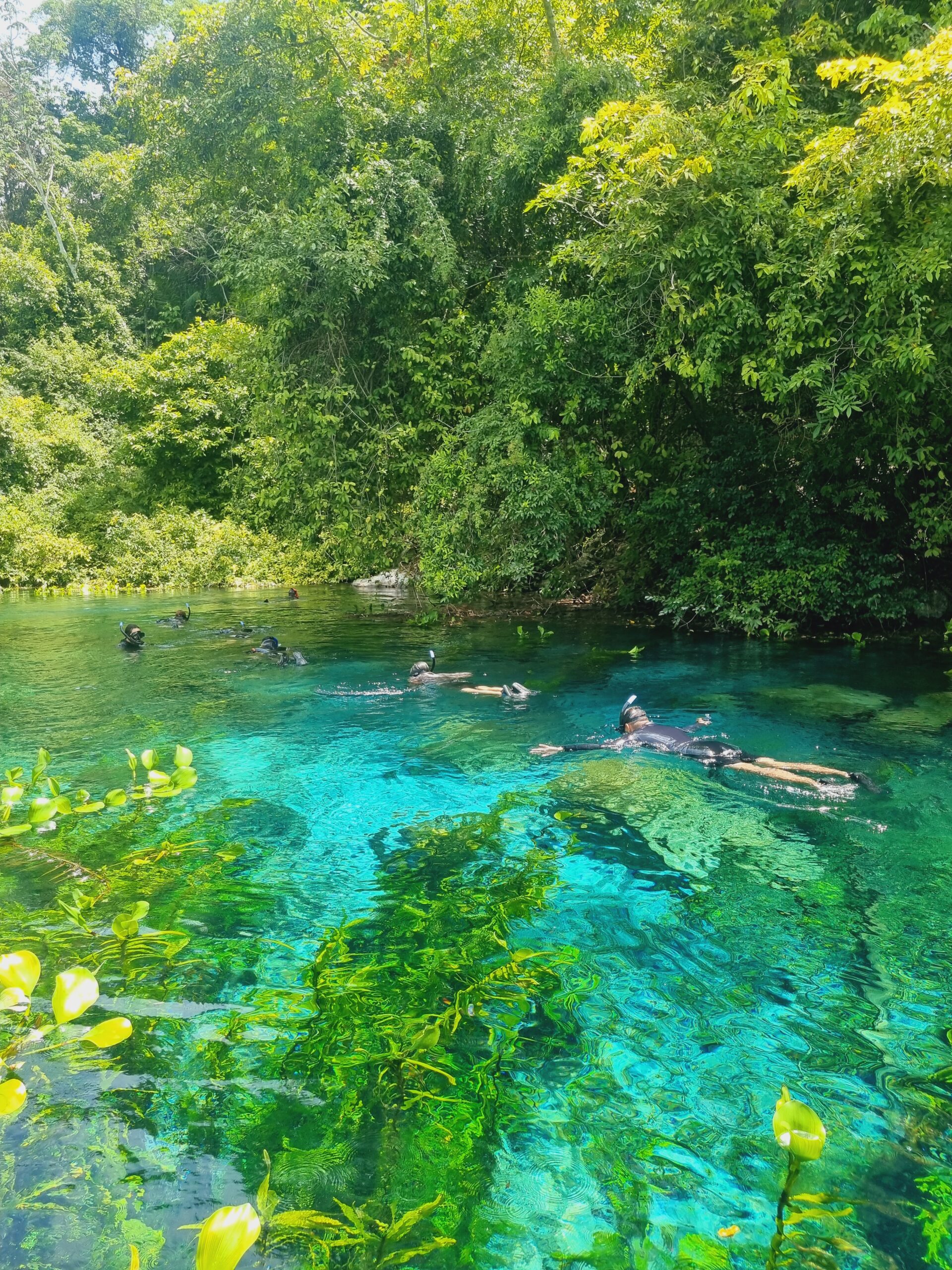 Fervedouro Rio Azul Bodoquena-Flutuação